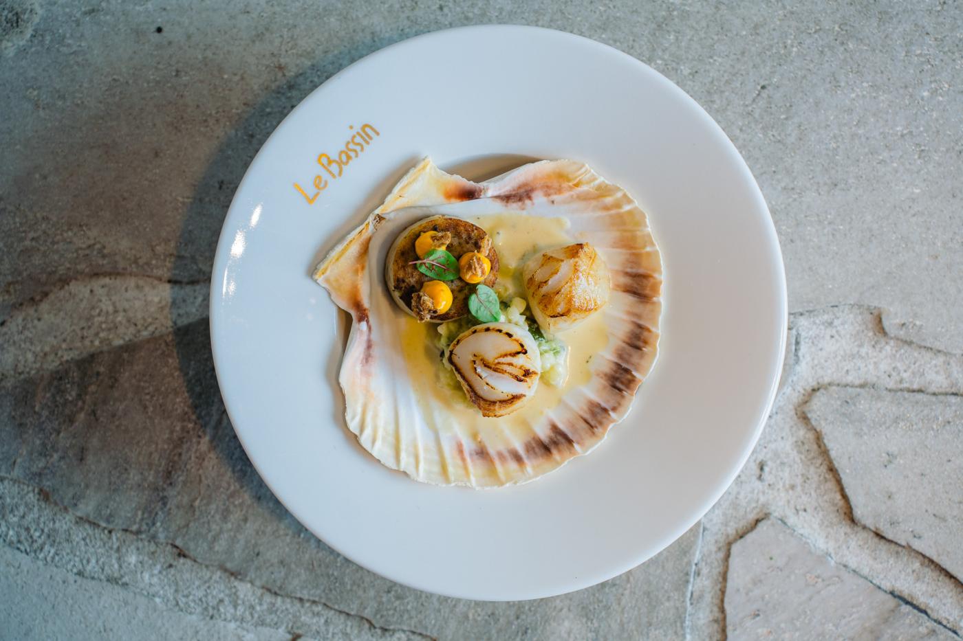 Sint- Jacobsvrucht | boudin de mer ( witte pens ) | fregola | courgette | chorizomayonaise | krokante ui